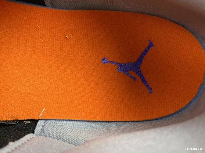 Black Retro Jordan 3 050 Court Air CT8532 Purple 1022